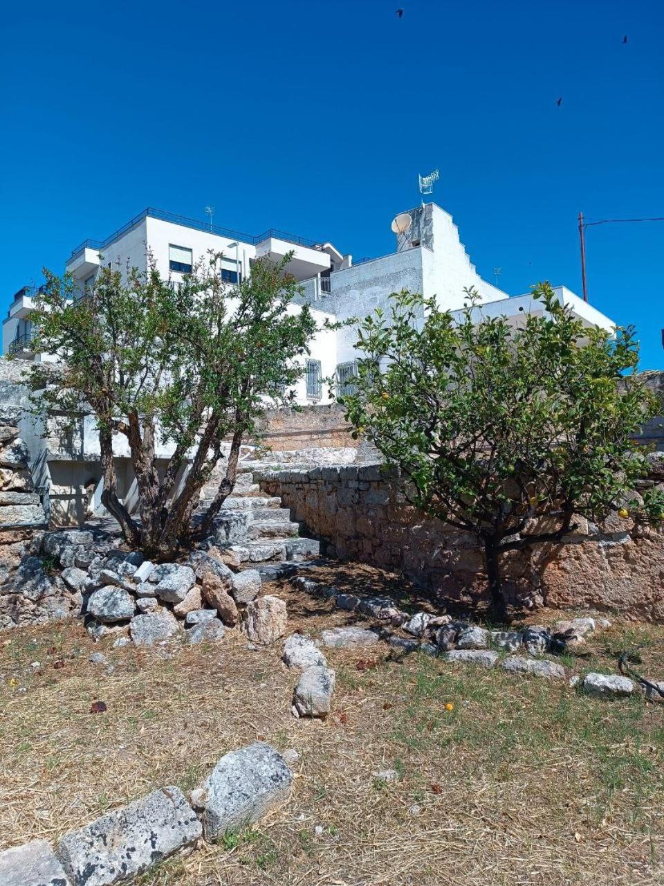 Oasi Daire Polignano a Mare Dış mekan fotoğraf